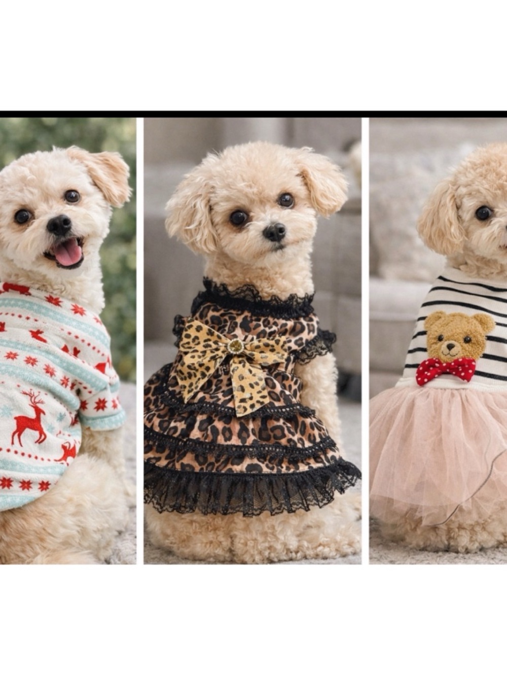 Small Dog Clothes Bundle | Cute Dresses & Sweater | Puppy Outfit Set